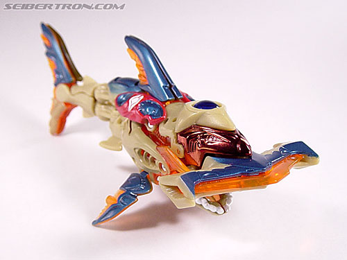 Transformers News: The Return of Transformers SHARK WEEK continues with Maximal Cybershark