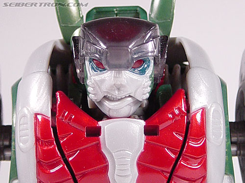 Rattrap