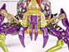 Beast Machines Black Widow (Blackarachnia)  - Image #4 of 51