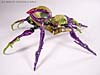Beast Machines Black Widow (Blackarachnia)  - Image #6 of 51