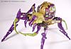 Beast Machines Black Widow (Blackarachnia)  - Image #14 of 51