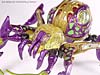 Beast Machines Black Widow (Blackarachnia)  - Image #15 of 51