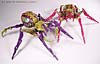 Beast Machines Black Widow (Blackarachnia)  - Image #18 of 51