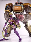 Beast Machines Black Widow (Blackarachnia)  - Image #43 of 51