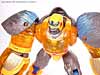 Beast Machines Blast Punch Optimus Primal - Image #44 of 53