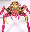 Beast Machines Black Widow (Blackarachnia)  - Image #10 of 62