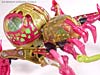 Beast Machines Black Widow (Blackarachnia)  - Image #15 of 62