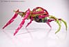 Beast Machines Black Widow (Blackarachnia)  - Image #19 of 62