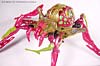 Beast Machines Black Widow (Blackarachnia)  - Image #25 of 62