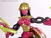 Beast Machines Black Widow (Blackarachnia)  - Image #44 of 62