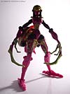 Beast Machines Black Widow (Blackarachnia)  - Image #50 of 62