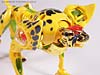 Beast Machines Cheetas (Cheetor)  - Image #21 of 107