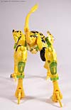 Beast Machines Cheetas (Cheetor)  - Image #25 of 107