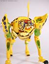 Beast Machines Cheetas (Cheetor)  - Image #37 of 107