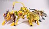 Beast Machines Cheetas (Cheetor)  - Image #51 of 107
