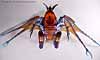 Beast Machines Nightscream - Image #12 of 64