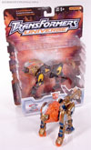 Beast Machines Snarl - Image #19 of 69