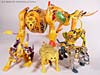 Beast Machines Supreme Cheetor - Image #56 of 165