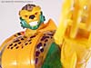 Beast Machines Supreme Cheetor - Image #108 of 165
