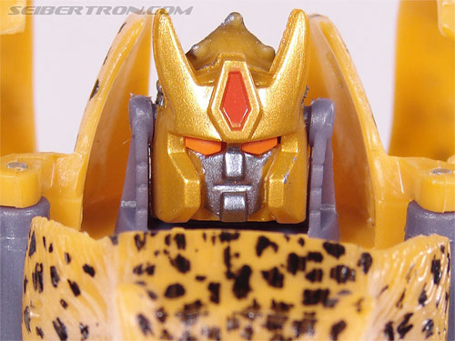 Cheetor (Cheetas)
