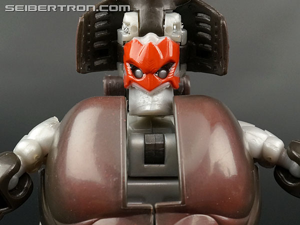 Motorarm