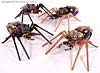 Beast Wars Telemocha Series Black Widow (Blackarachnia)  (Reissue) - Image #48 of 186