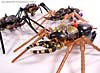 Beast Wars Telemocha Series Black Widow (Blackarachnia)  (Reissue) - Image #50 of 186