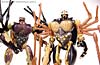 Beast Wars Telemocha Series Black Widow (Blackarachnia)  (Reissue) - Image #149 of 186