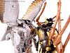 Beast Wars Telemocha Series Black Widow (Blackarachnia)  (Reissue) - Image #164 of 186