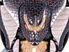 Beast Wars Telemocha Series Corahda (Cohrada)  (Reissue) - Image #22 of 129