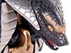 Beast Wars Telemocha Series Corahda (Cohrada)  (Reissue) - Image #26 of 129