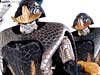 Beast Wars Telemocha Series Corahda (Cohrada)  (Reissue) - Image #122 of 129