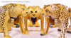 Beast Wars Telemocha Series Cheetas (Cheetor)  (Reissue) - Image #55 of 118