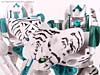 Beast Wars Telemocha Series Tigatron (Reissue) - Image #108 of 123