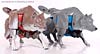 Beast Wars Telemocha Series Wolfang (Reissue) - Image #43 of 128