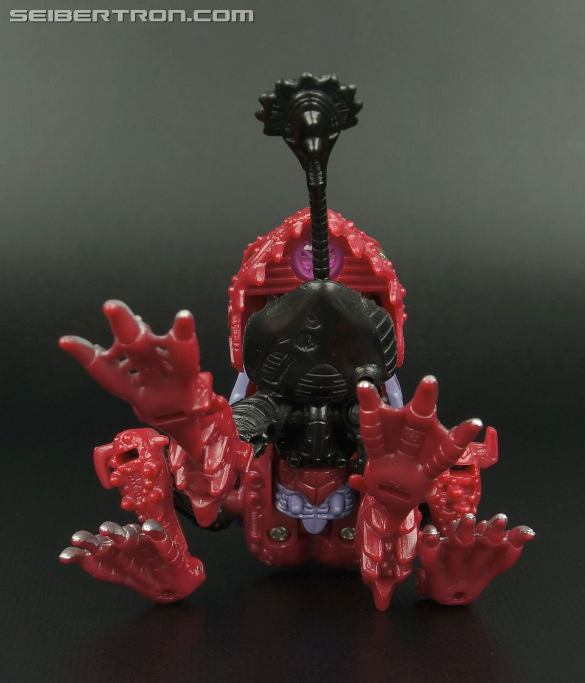 Transformers Robots In Disguise Slapper (Gushar) (Image #16 of 150)