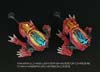Robots In Disguise Slapper - Image #52 of 150