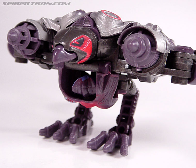 Transformers Armada Airazor (Image #15 of 92)