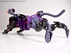 Armada Cheetor - Image #38 of 87