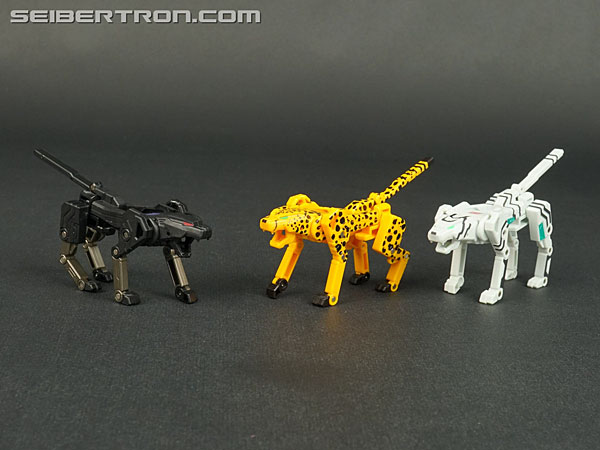 Transformers Device Label Cheetor (Cheetus) (Image #73 of 96)