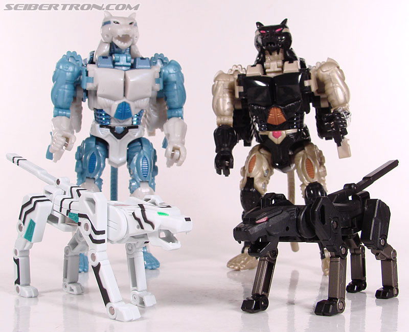 Transformers Device Label Ravage (Jaguar) (Image #84 of 88) Transformers Device Label Ravage (Jaguar) (Image #84 of 88)