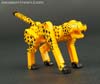 Device Label Cheetus (Cheetor)  - Image #42 of 96
