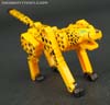 Device Label Cheetus (Cheetor)  - Image #43 of 96