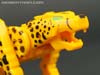 Device Label Cheetus (Cheetor)  - Image #45 of 96