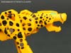 Device Label Cheetus (Cheetor)  - Image #47 of 96