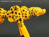 Device Label Cheetus (Cheetor)  - Image #49 of 96