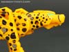 Device Label Cheetus (Cheetor)  - Image #50 of 96