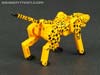 Device Label Cheetus (Cheetor)  - Image #51 of 96