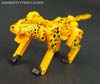 Device Label Cheetus (Cheetor)  - Image #60 of 96