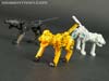 Device Label Cheetus (Cheetor)  - Image #70 of 96